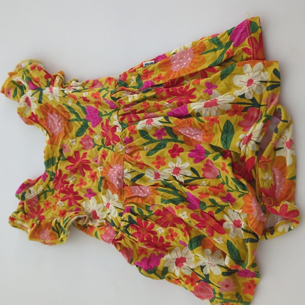 Play little sleepies bodysuit twirl dress 12-18